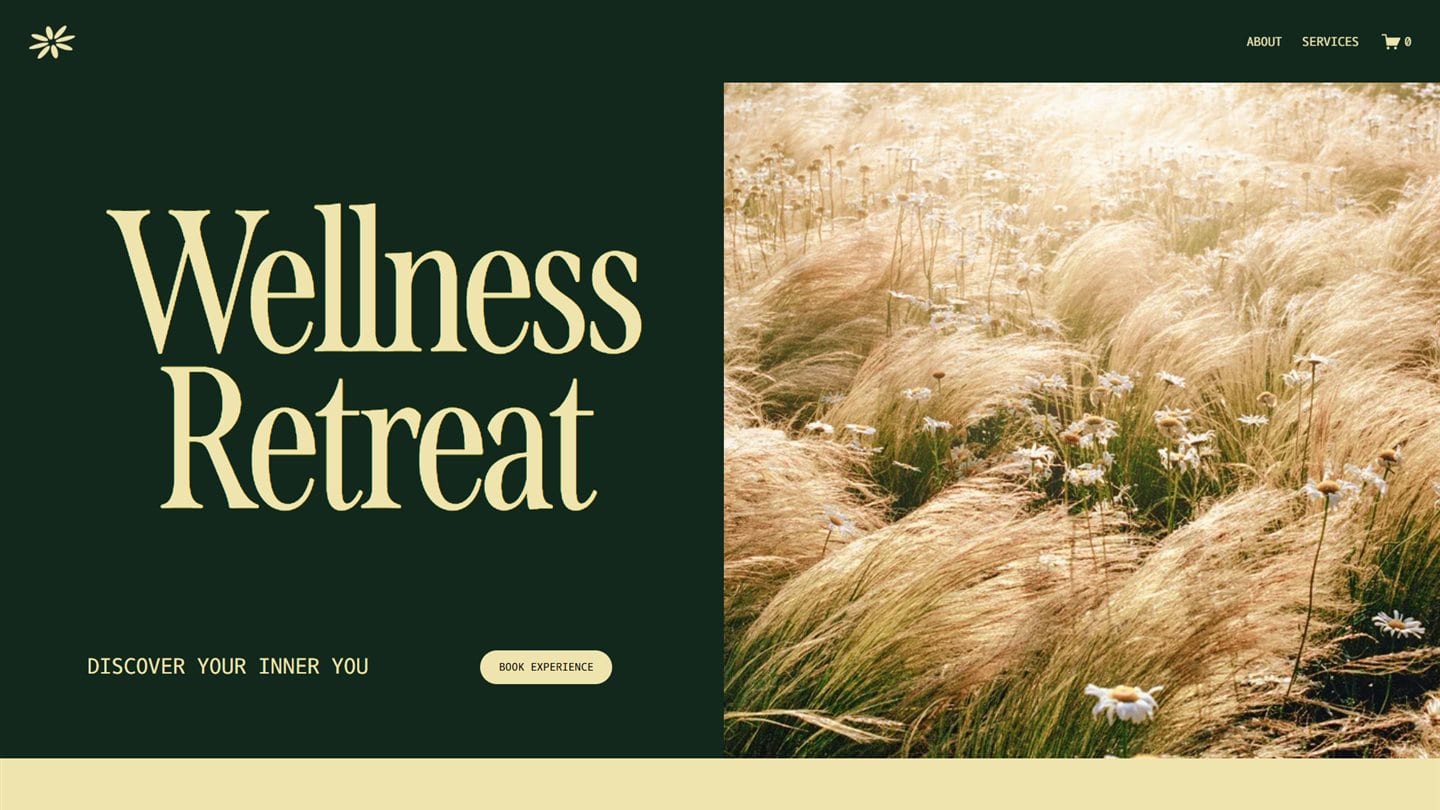 Website project