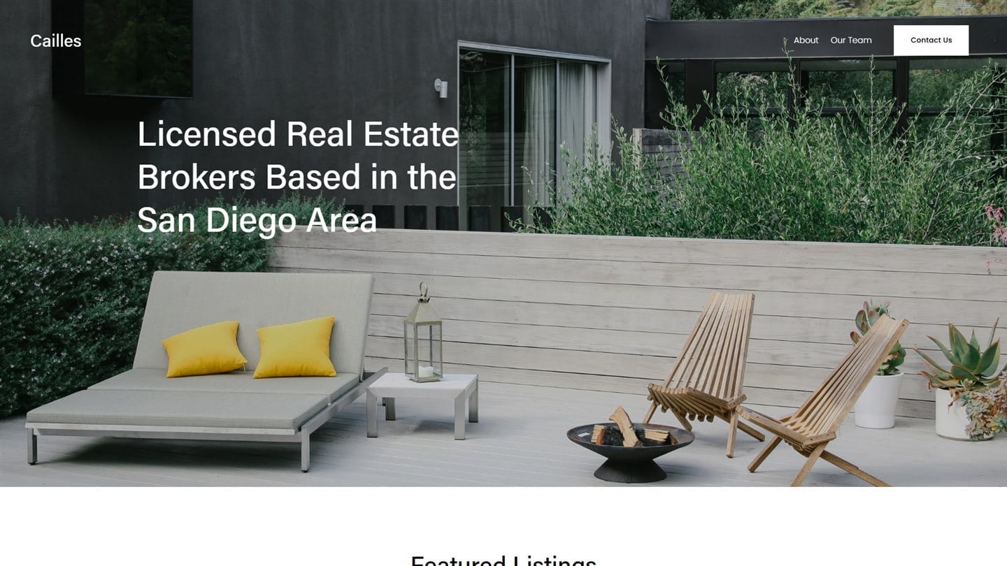 Website project