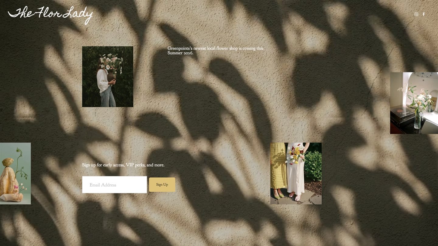 Website project